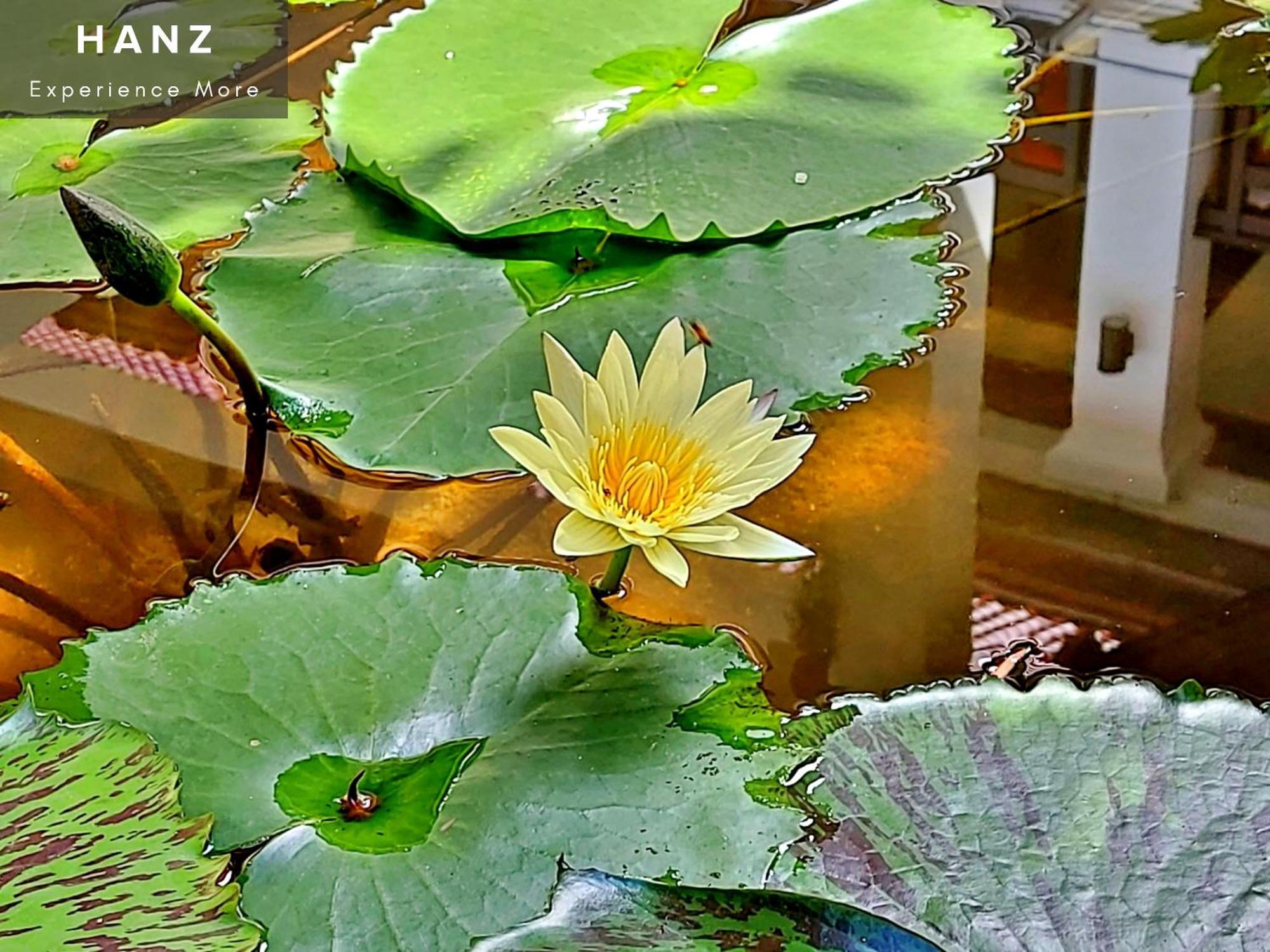 Sunrise Luang Prabang Hotell Eksteriør bilde