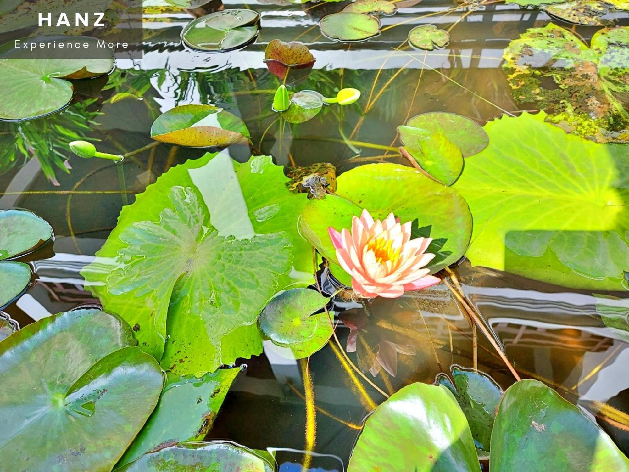 Sunrise Luang Prabang Hotell Eksteriør bilde